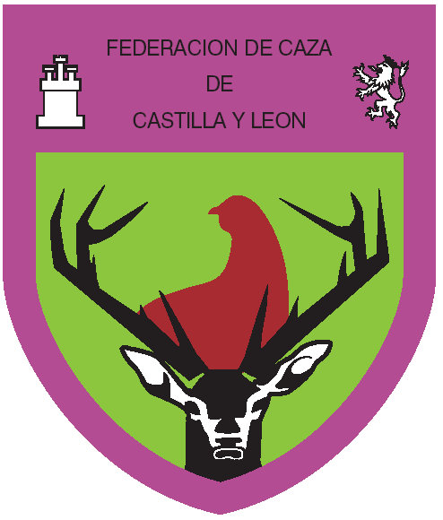 CastillayLeón_61323